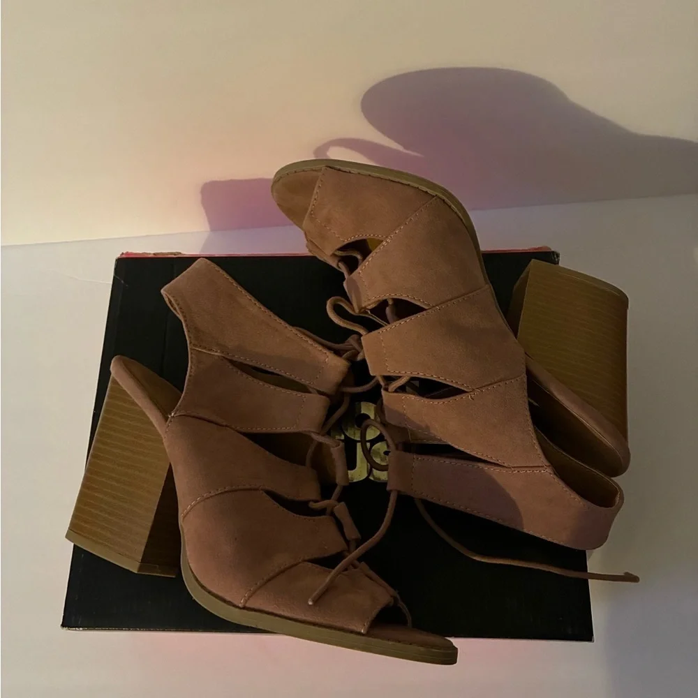 Elegant Mauve Lace-Up Chunky Heel Sandals
